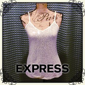 Silver sequin tank top from Express